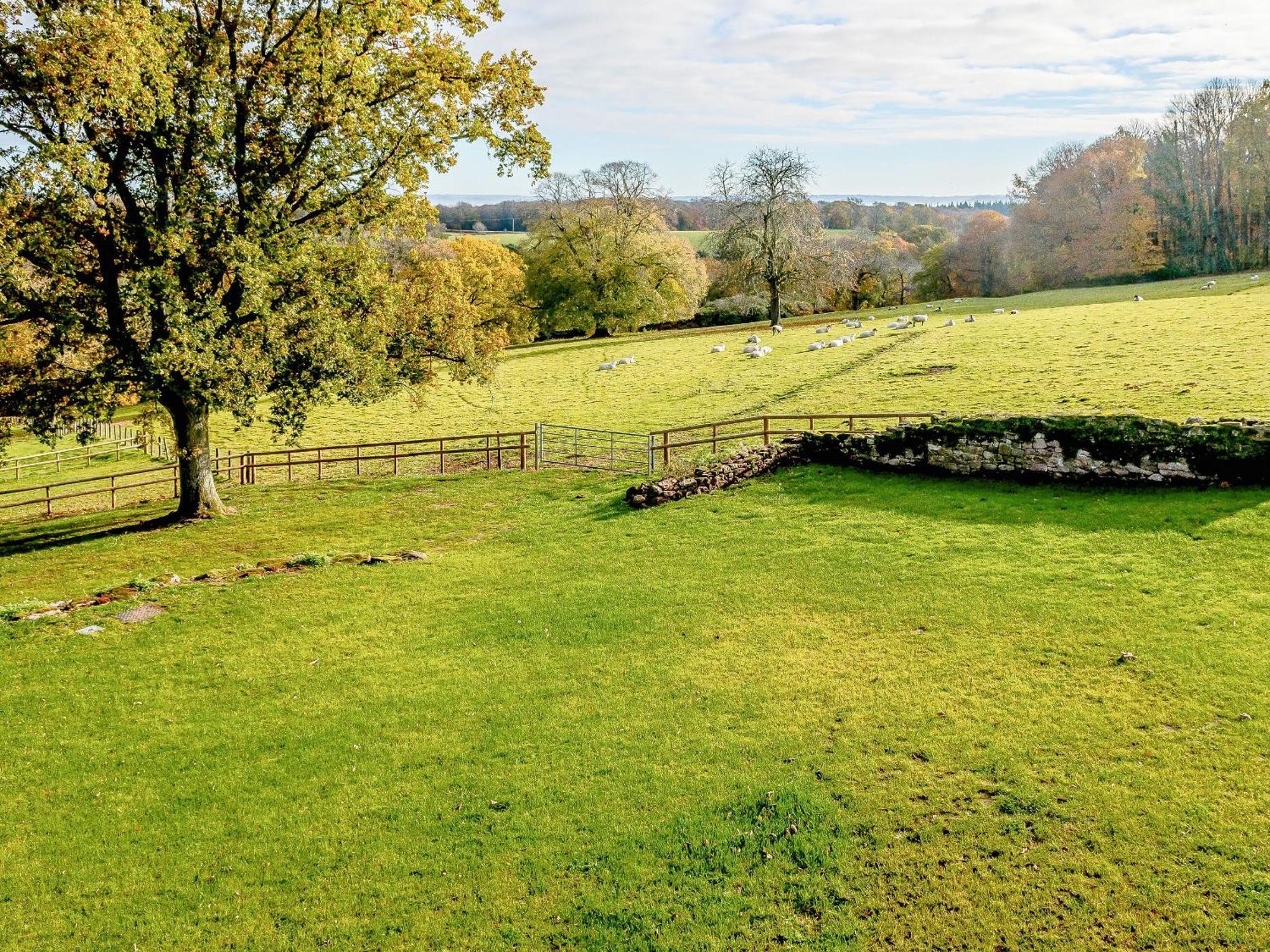 Villa Owl Barn -- Uk30757 Bream Exterior foto